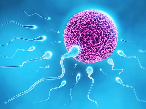 sperm-08-1457421324-27-1477562380