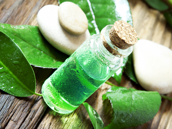 19-1482131221-1-teatreeoil