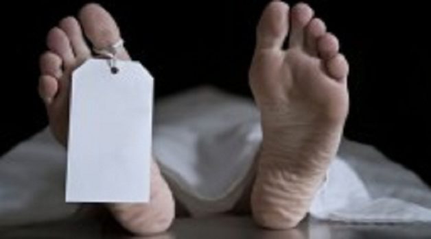 625-117-560-350-160-300-053-800-210-160-90-1