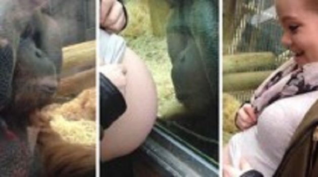 625-117-560-350-160-300-053-800-210-160-90-2