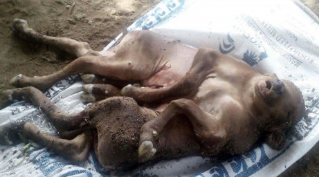 625-256-560-350-160-300-053-800-461-160-90