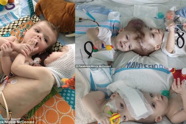 625-500-560-350-160-300-053-800-748-160-70-1