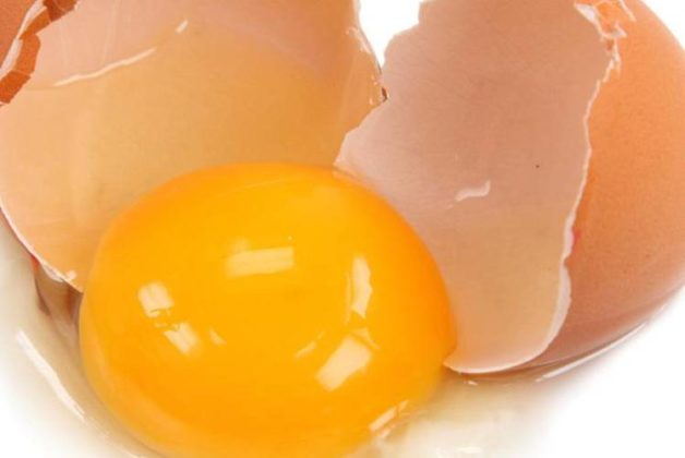 625-500-560-350-160-300-053-800-748-160-70-1