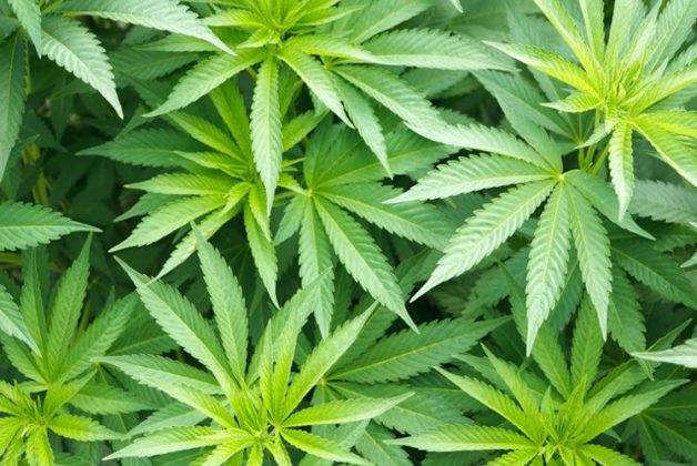 625-500-560-350-160-300-053-800-748-160-70-1