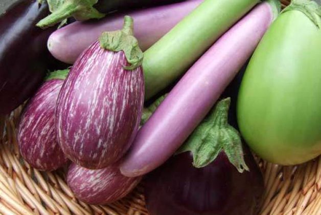 625-500-560-350-160-300-053-800-748-160-70-11