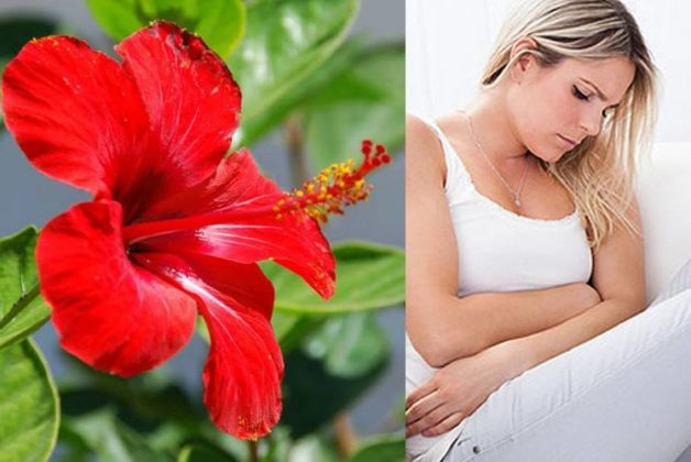 625-500-560-350-160-300-053-800-748-160-70-2