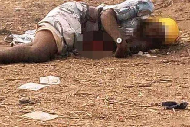 625-500-560-350-160-300-053-800-748-160-70-2