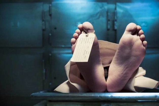 625-500-560-350-160-300-053-800-748-160-70-3