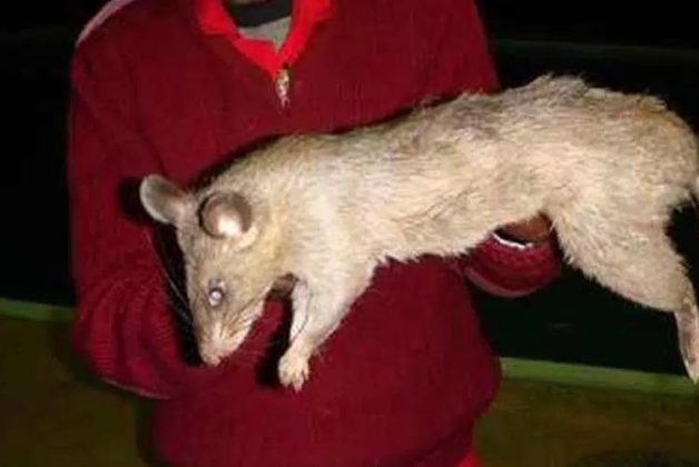 625-500-560-350-160-300-053-800-748-160-70-3