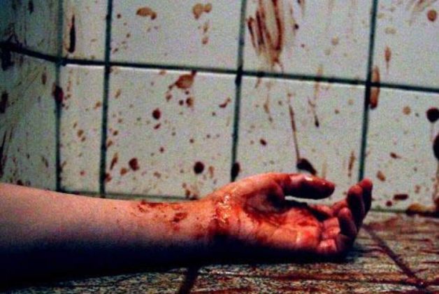 625-500-560-350-160-300-053-800-748-160-70