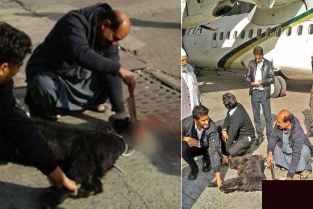 625-500-560-350-160-300-053-800-748-160-70-4