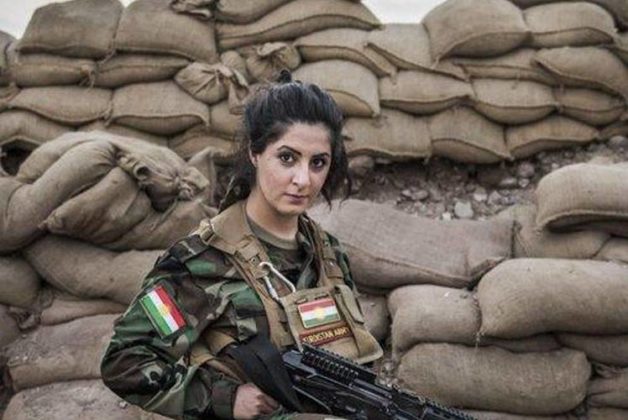 625-500-560-350-160-300-053-800-748-160-70-7