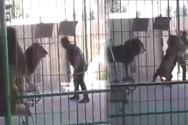 625-500-560-350-160-300-053-800-748-160-70-7