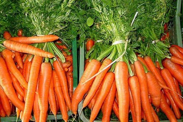 625-500-560-350-160-300-053-800-748-160-70-8