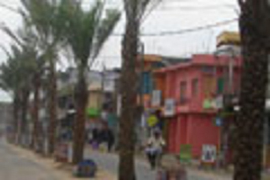 article_1481785869-kathan-new