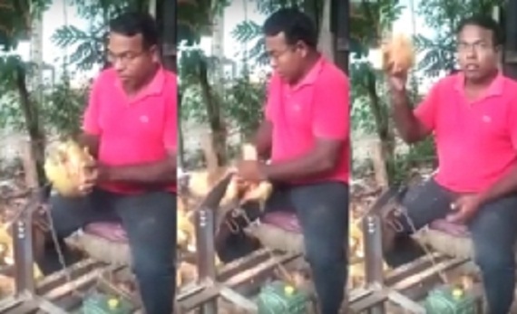 coconut_peeling_001-w245