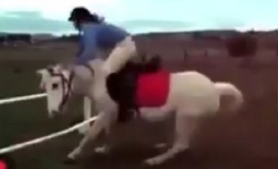 funny_falls_001-w245