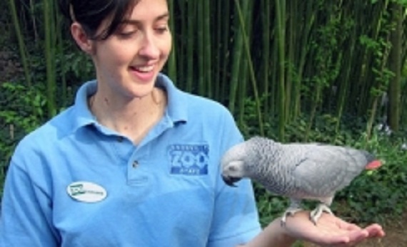 instine_parrot_001-w245