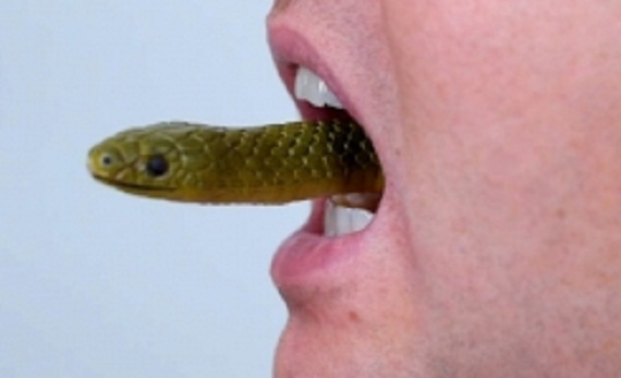 snake_in_mouth_001-w245