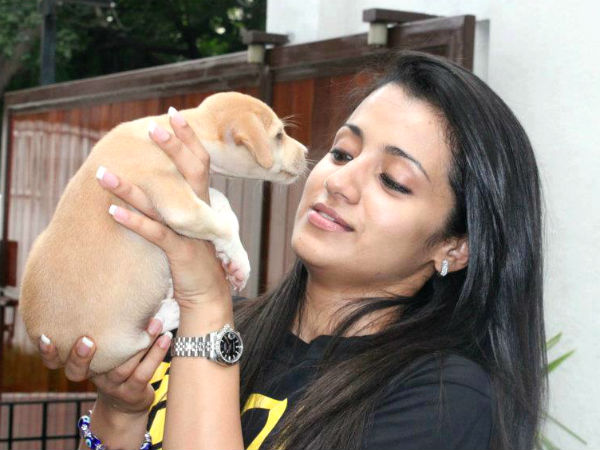 15-1484462168-trisha-dog