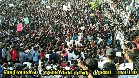 15966037_697581887068873_6782827337086820027_n