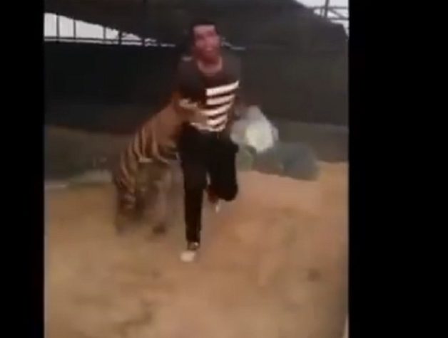 16229662_823514861133218_2136307510_o