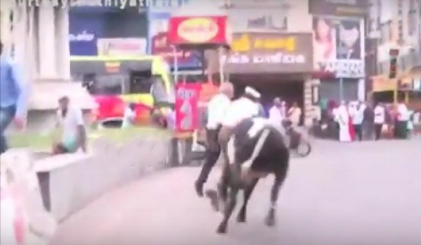 18-1484721699-trisha435456