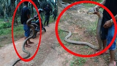 201611041478251463392767g5bjteoOLb0