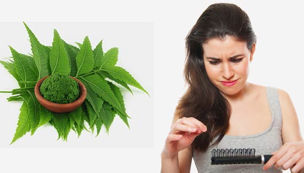 201612270958464374_Neem-gives-hair-problems_SECVPF
