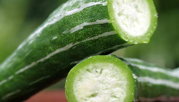 201701141102489123_Ulcer-heals-snake-gourd_SECVPF