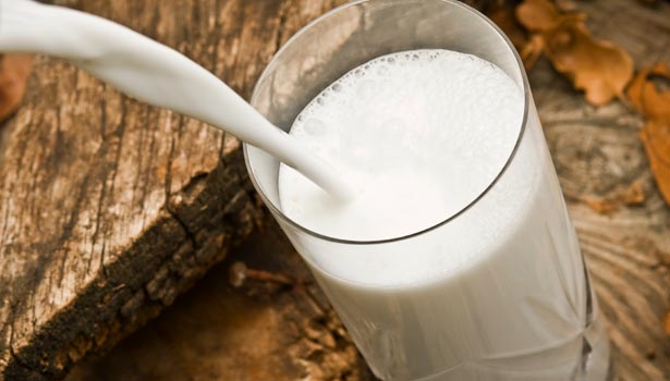 201701211444431671_Hybrid-cow-milk-drinking-impacts_SECVPF
