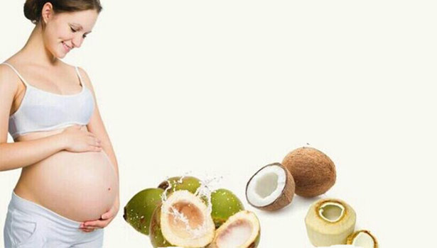 201701271431266040_Tender-coconut-increases-power-of-resistance-in-pregnant_SECVPF