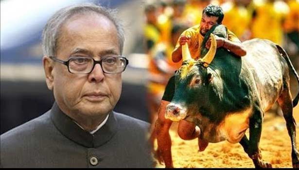 201701301449128979_The-President-of-India-Has-approved-the-Jallikattu-Ordinance_SECVPF