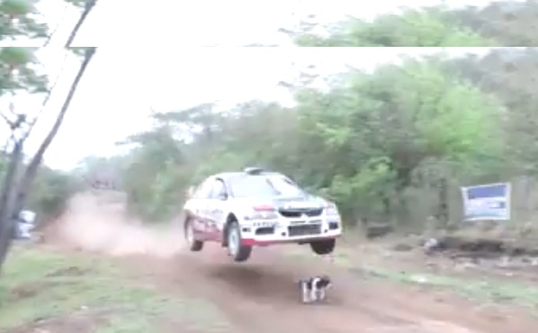 625.0.560.320.160.600.053.800.668.160.90