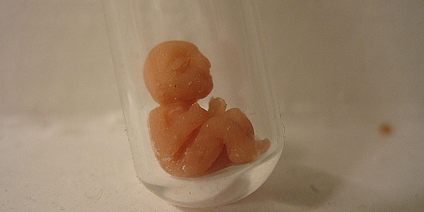 Tamil-Daily-News-Paper_29791986943