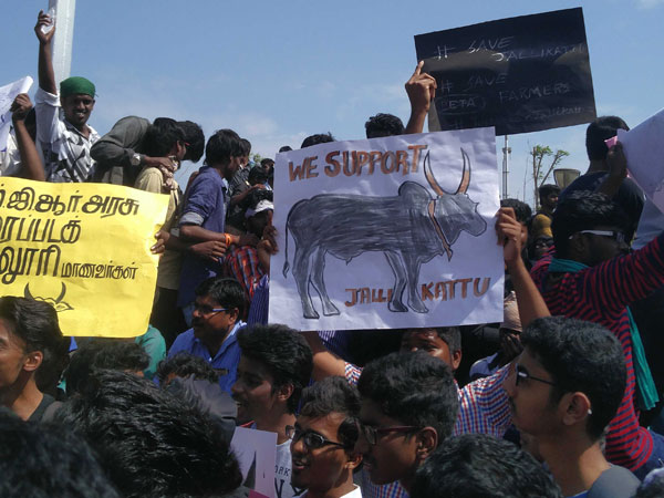 article_1485156372-marina-new