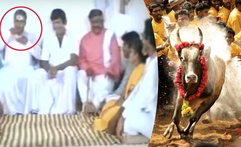 mixture_jallikattu_001.w540