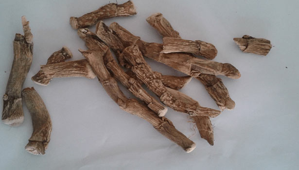 vasambu-acorus-calamus-rhizome-healed-hysteria_secvpf