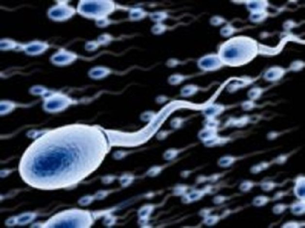 ஆண்மை-குறைவிற்கு-இதுவும்-ஒரு-காரணம்