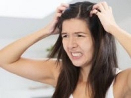 பேன்-தொல்லையா-எளிய-வைத்திய-குறிப்புகள்