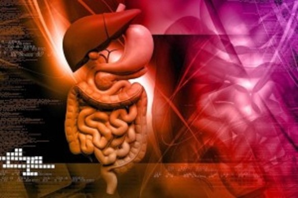 %e0%ae%ae%e0%ae%b2%e0%ae%9a%e0%af%8d%e0%ae%9a%e0%ae%bf%e0%ae%95%e0%af%8d%e0%ae%95%e0%ae%b2%e0%af%8d-%e0%ae%95%e0%af%81%e0%ae%a3%e0%ae%ae%e0%ae%be%e0%ae%95-%e0%ae%9a%e0%ae%bf%e0%ae%b2-%e0%ae%86