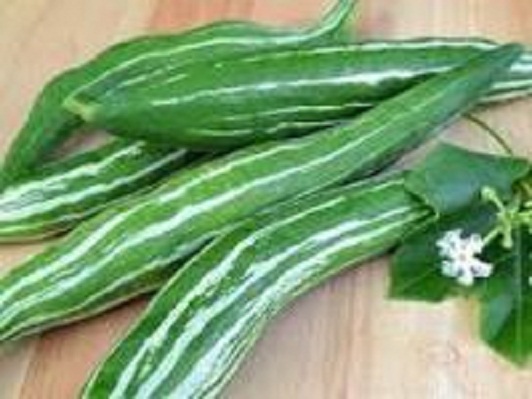 வெள்ளைப்படுதல்-சரியாக-புடலங்காய்-சாப்பிடுங்க