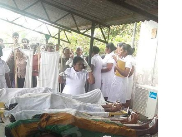 16809864_1473577206026205_270117101_n