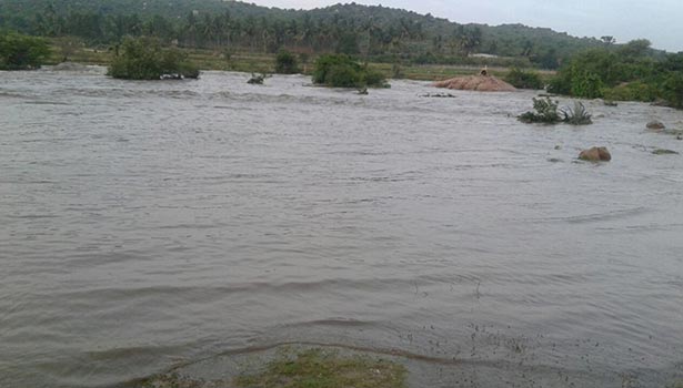 201607301051528944_thenpennai-river-flooding-5-District-inshore-people-warning_SECVPF