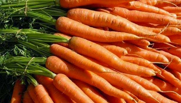 201702051101419011_carrots-protects-from-cancer_SECVPF