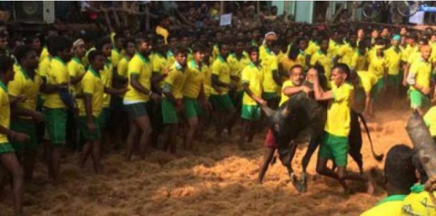 201702051139281884_DRS-to-be-introduced-in-World-T20_SECVPF