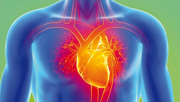 201702060940579289_Operating-heart-subsystems_SECVPF