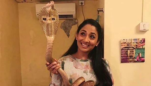 201702101125585354_persecution-snake-TV-hindi-actress-Shruti-4-including-_SECVPF