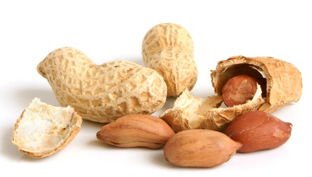 201702111429358297_Fat-lot-of-good-in-the-peanut_SECVPF