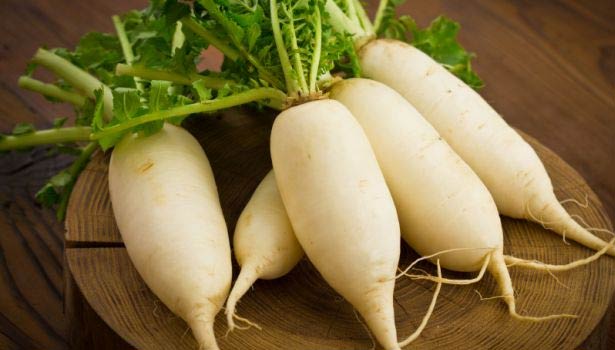 201702141331239570_Radish-control-stomach-problems_SECVPF